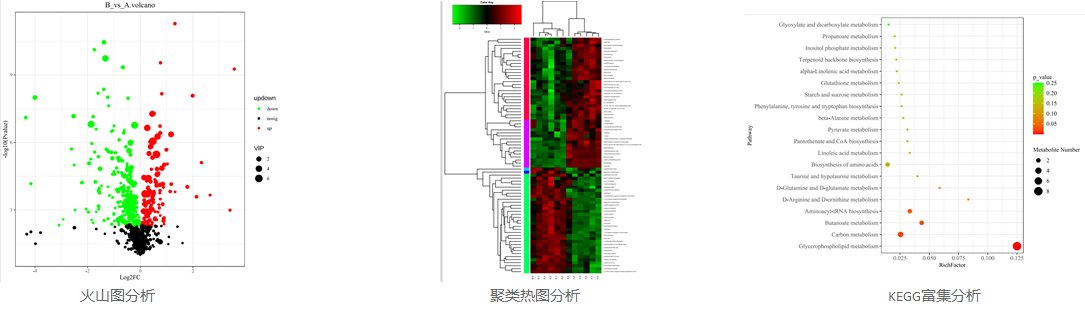 LCMS-2-633.jpg