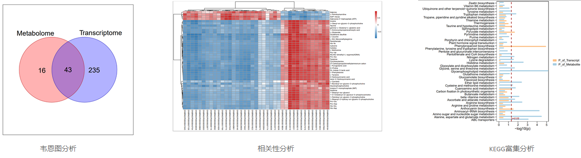 zhuanlu+danbai-2.jpg