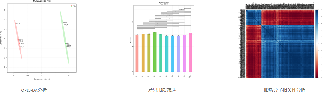 zhizhizu-1.jpg