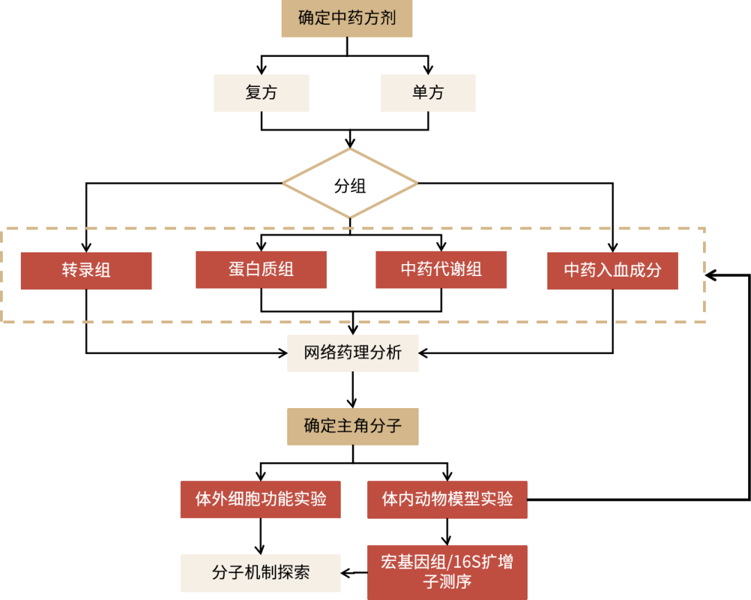 方剂图片.png