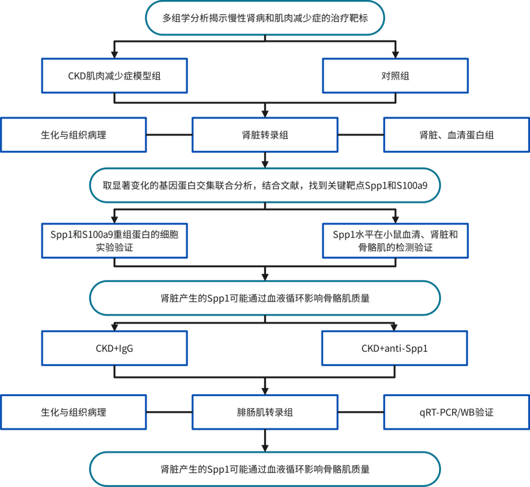 图片2-.png